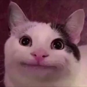 Meet your Posher, Jeffrey